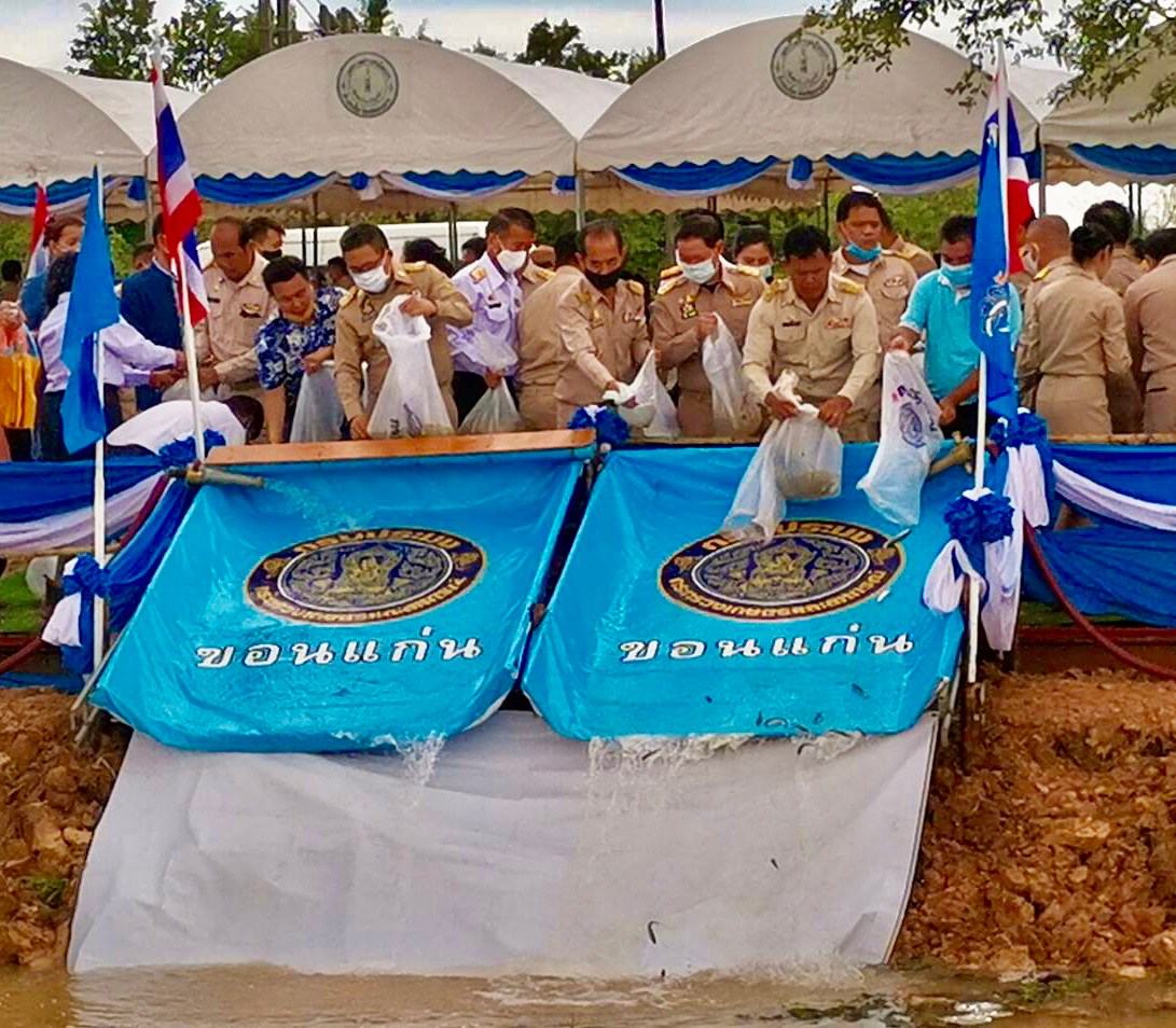 timeline 25630811 151024