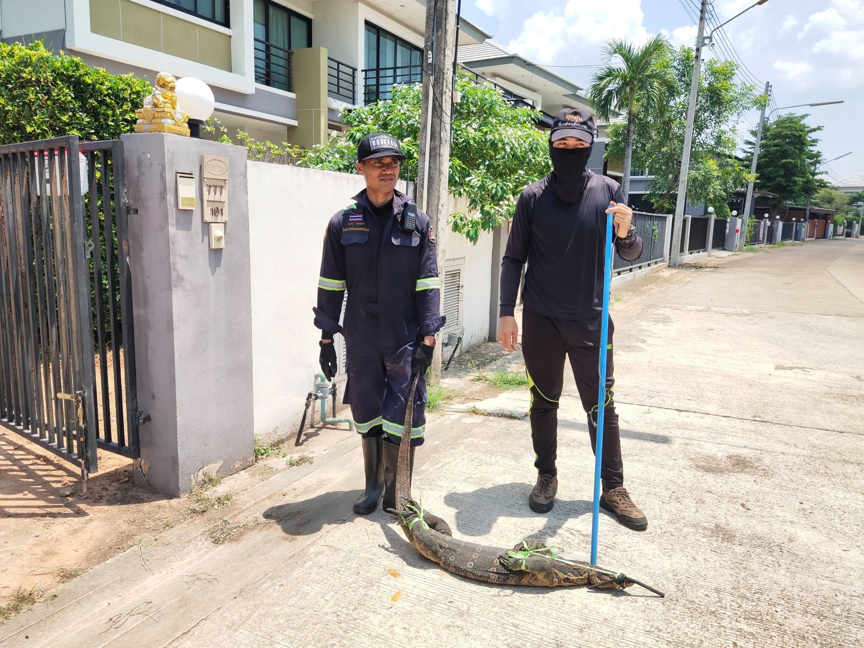 185831600 4229956560361316 7206067517053090187 n