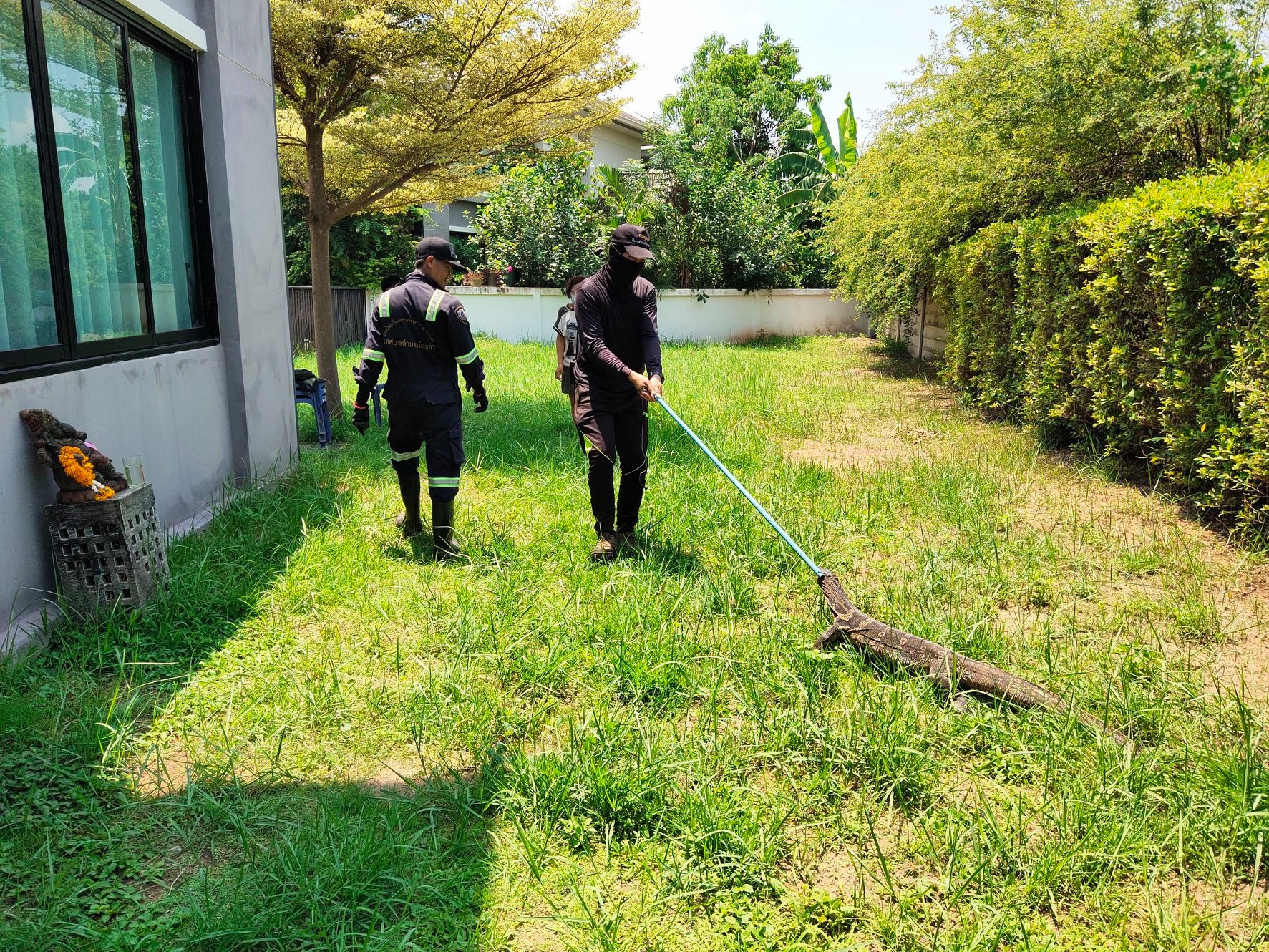 186104474 4229958027027836 3792724538152305762 n