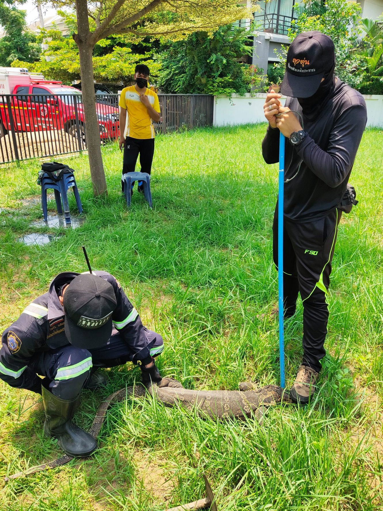 186396549 4229958777027761 8795929736187084260 n