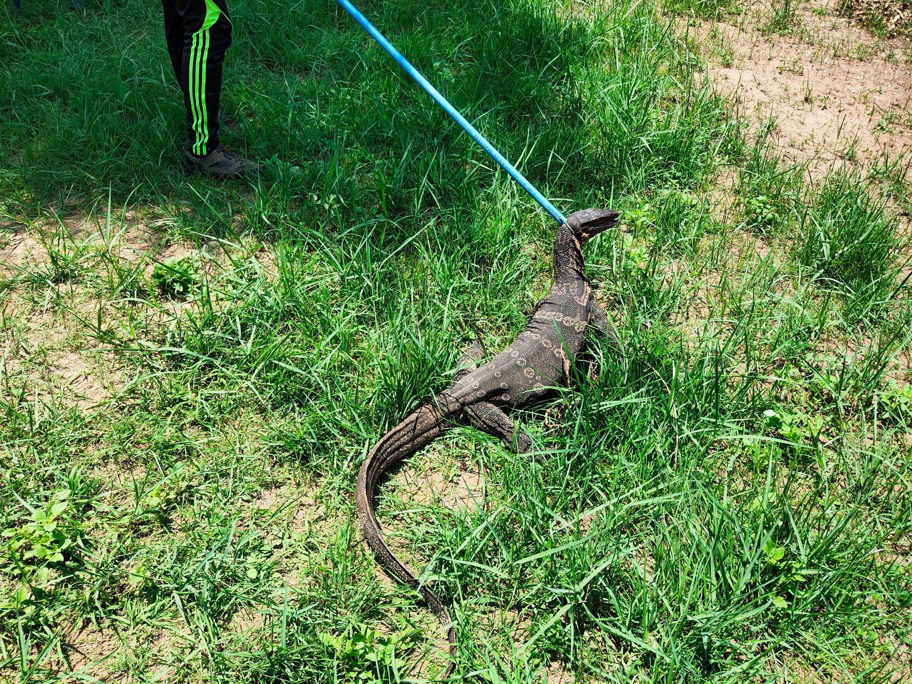 187006192 4229957443694561 5432436453095398784 n