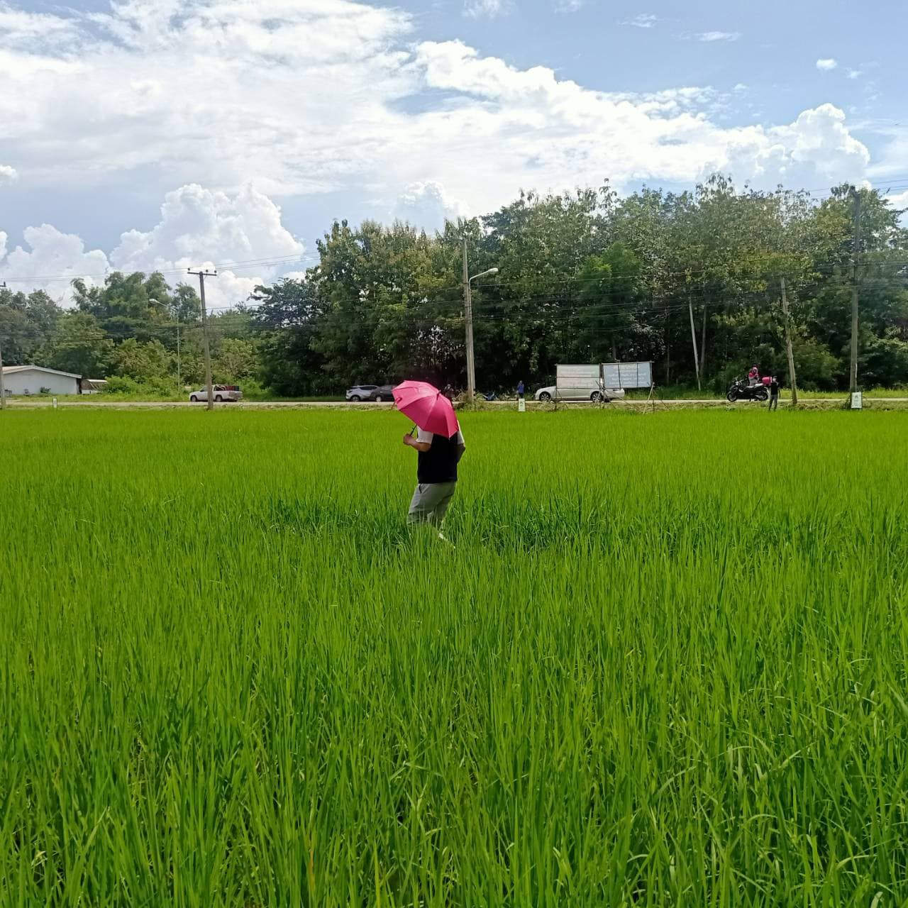 240437760 146487987665363 1663845513798275252 n