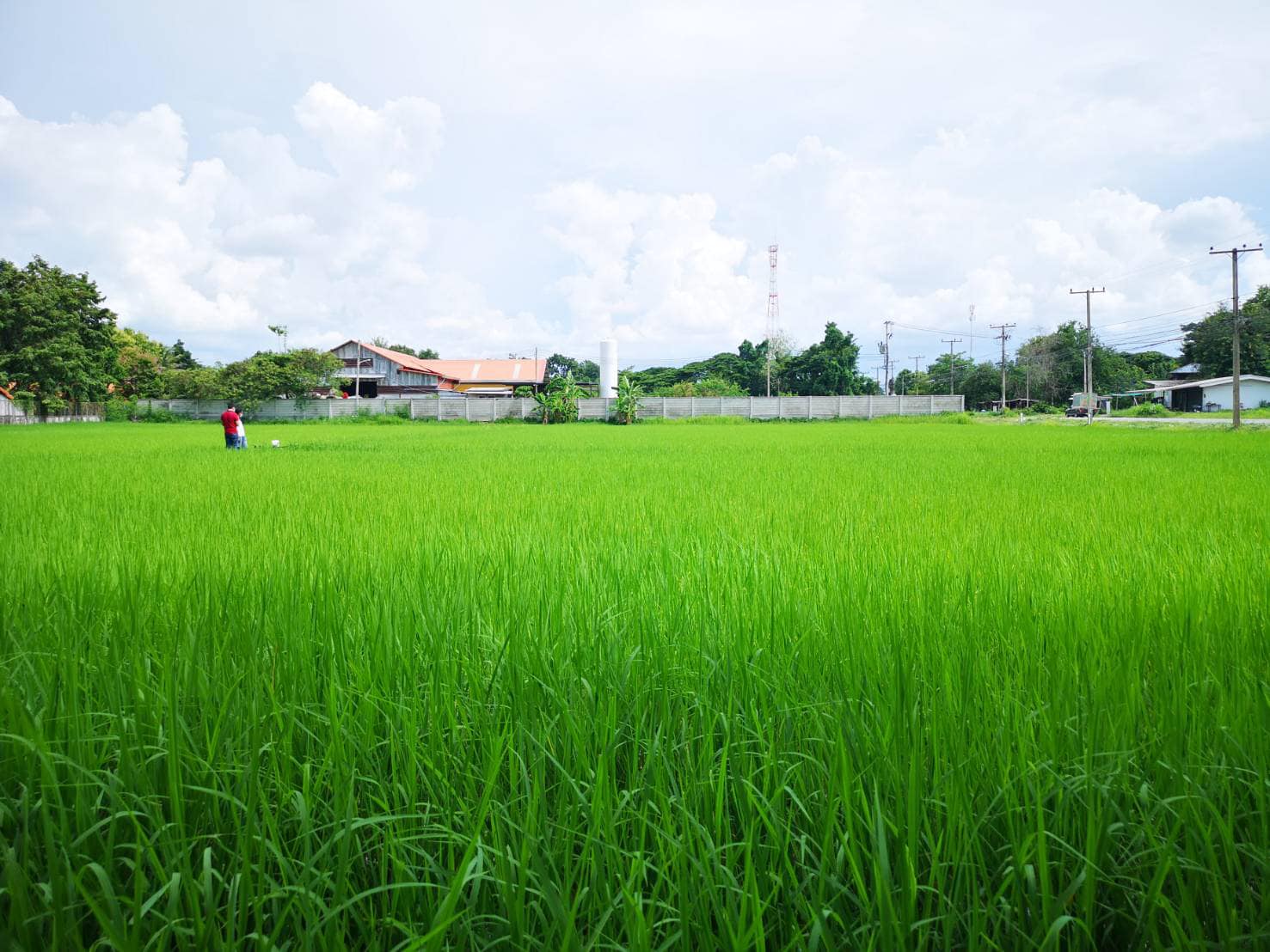 240470038 146488200998675 5329568796959581381 n