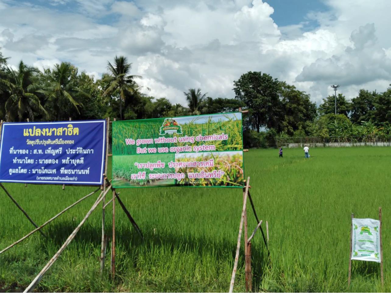 240669290 146488607665301 6399511057733351989 n