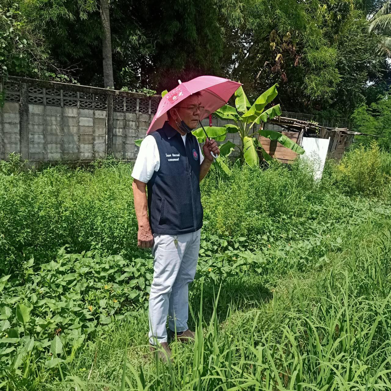 241026815 146488294331999 6874128671326470566 n