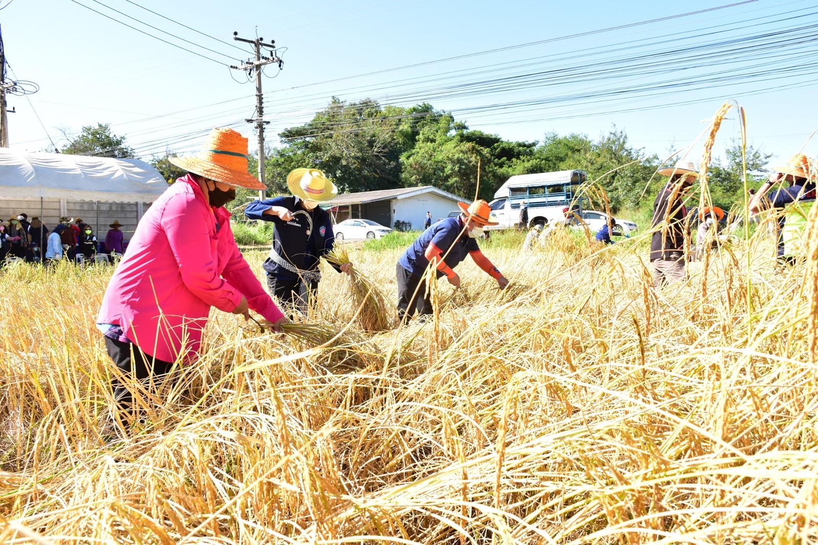 LINE ALBUM 19112021 112