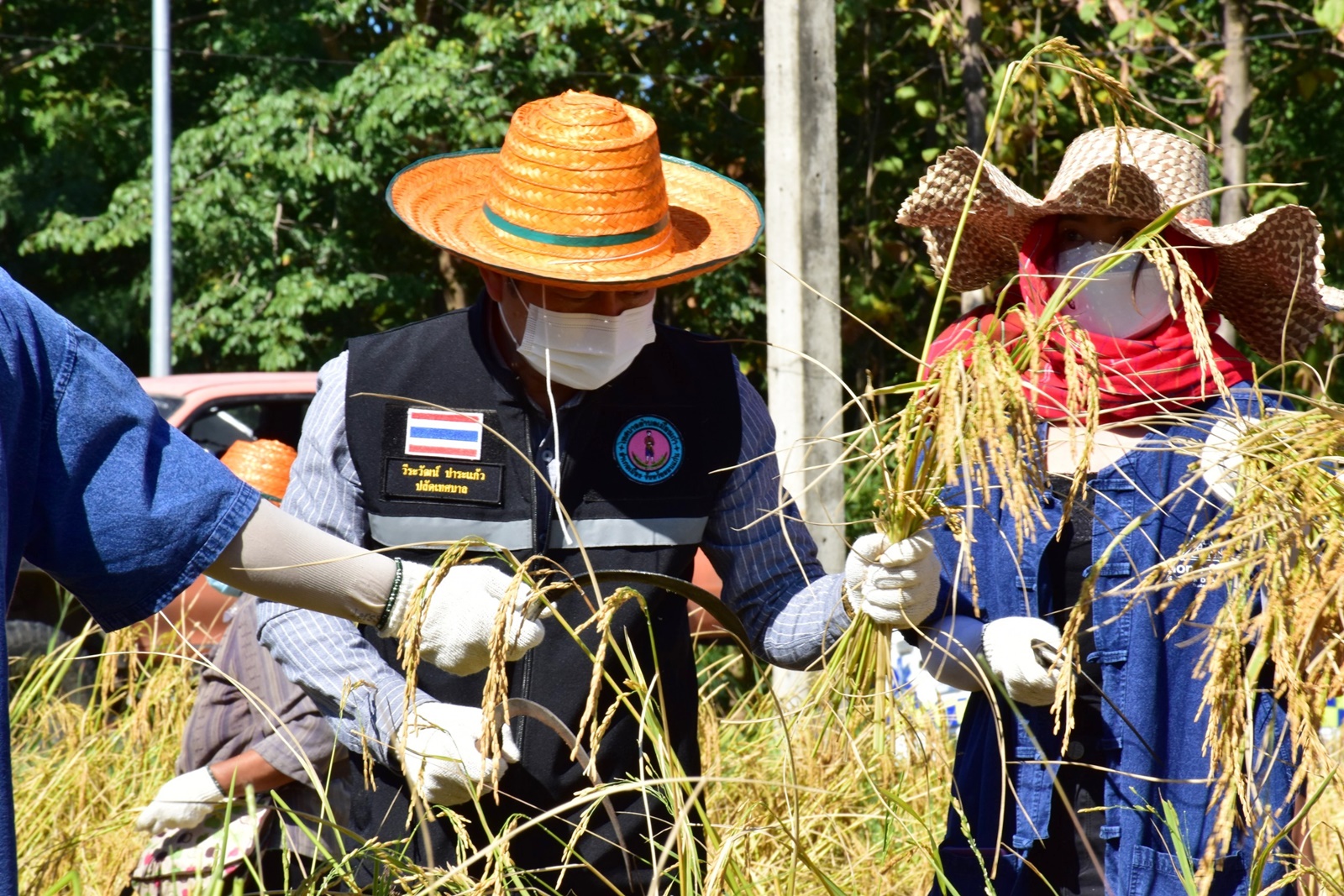 LINE ALBUM 19112021 150