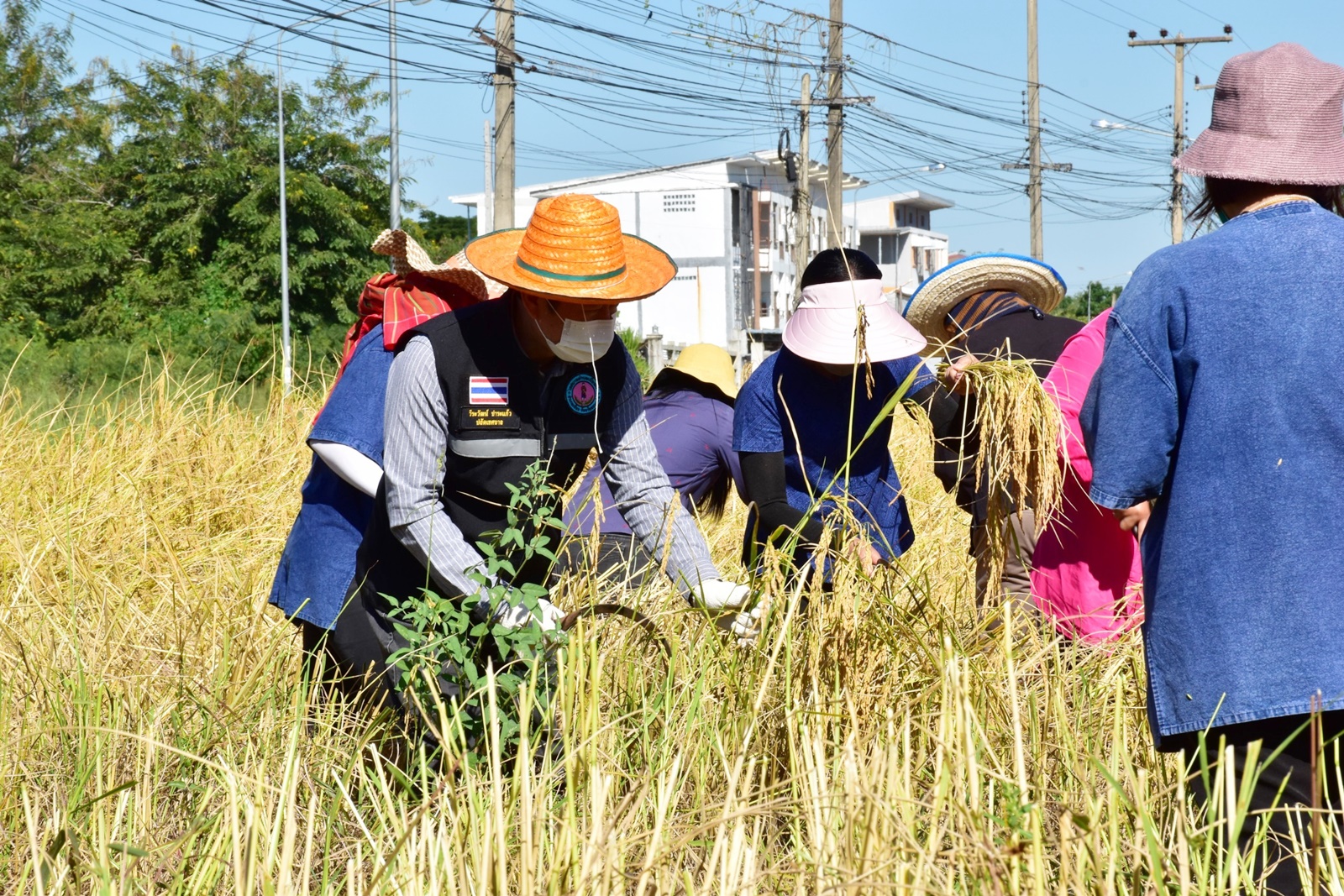 LINE ALBUM 19112021 152