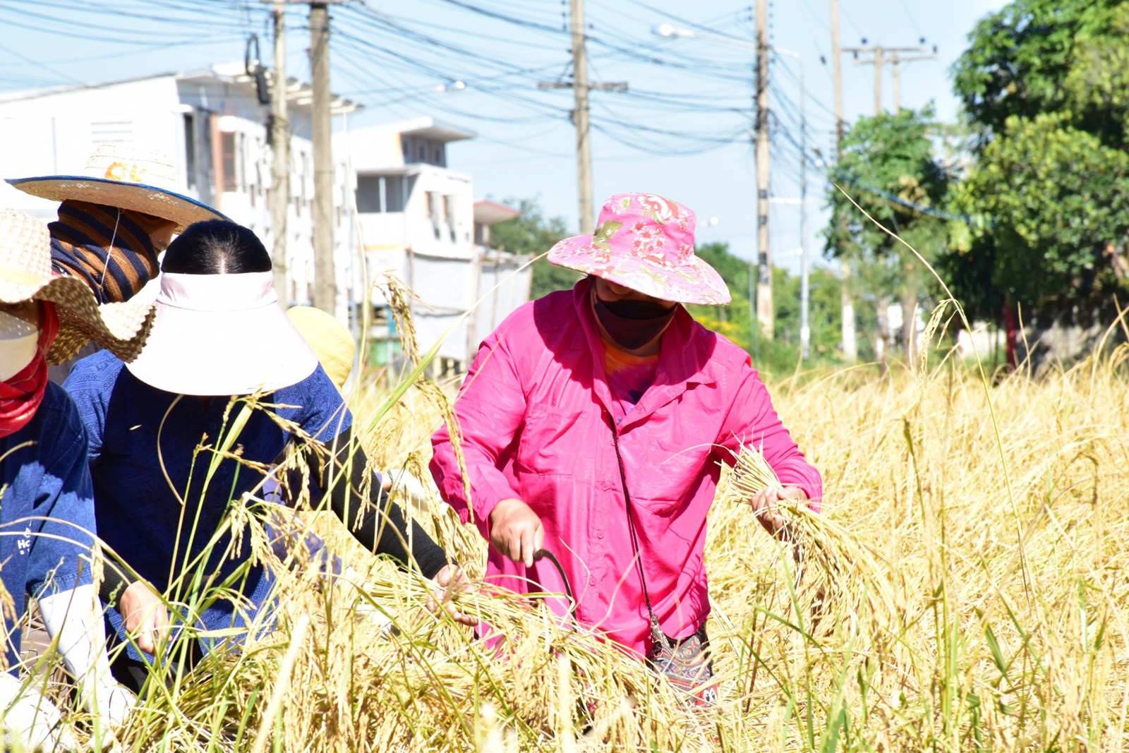 LINE ALBUM 19112021 154