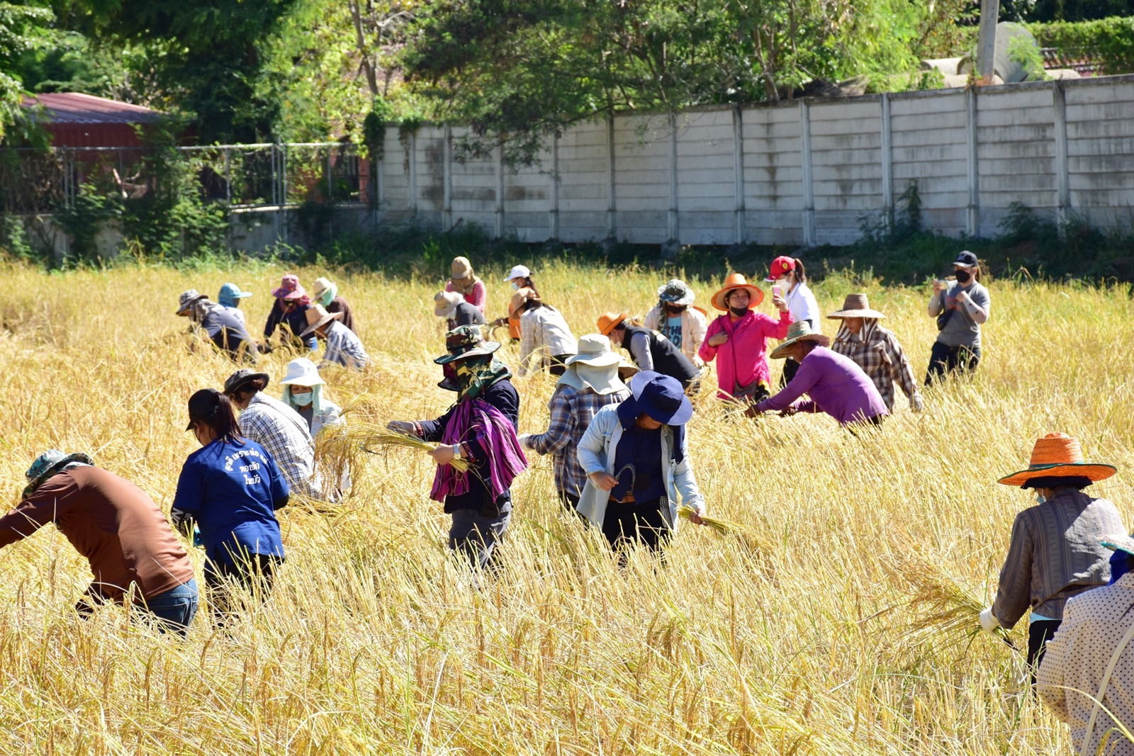 LINE ALBUM 19112021 32