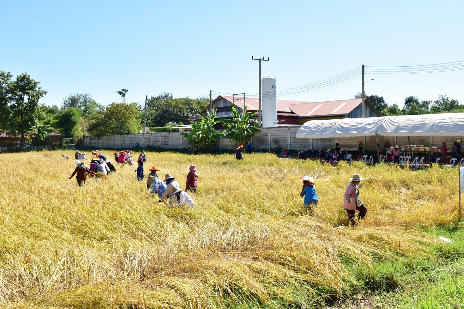 LINE ALBUM 19112021 34