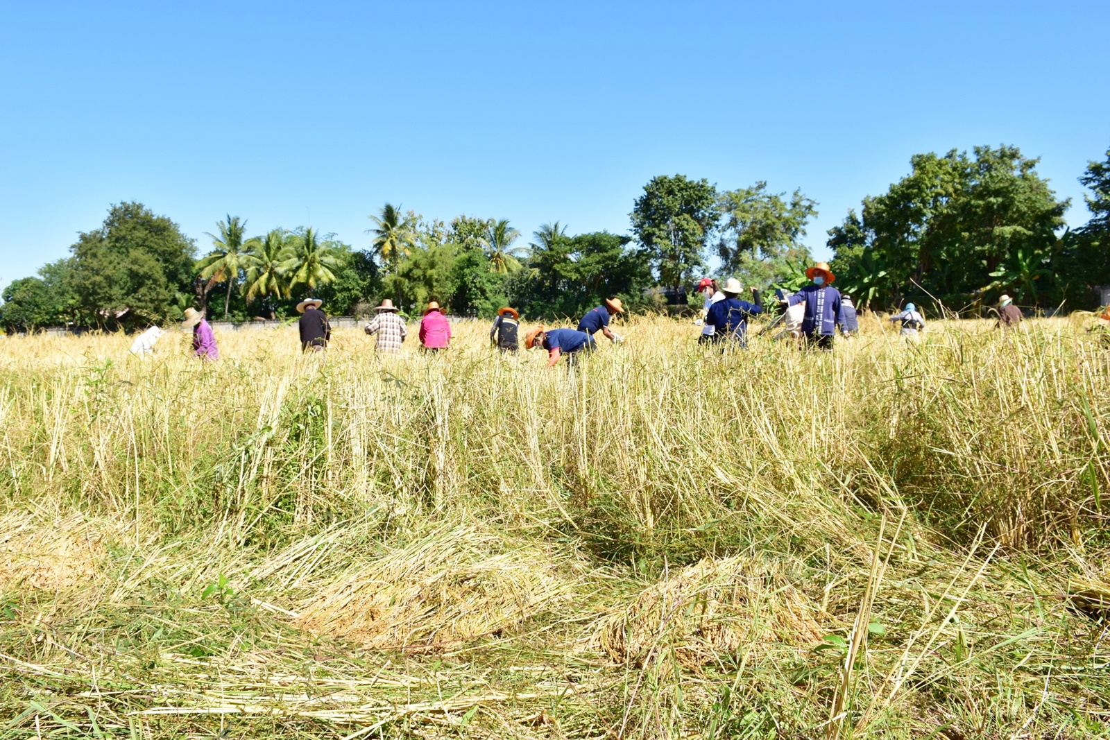 LINE ALBUM 19112021 36