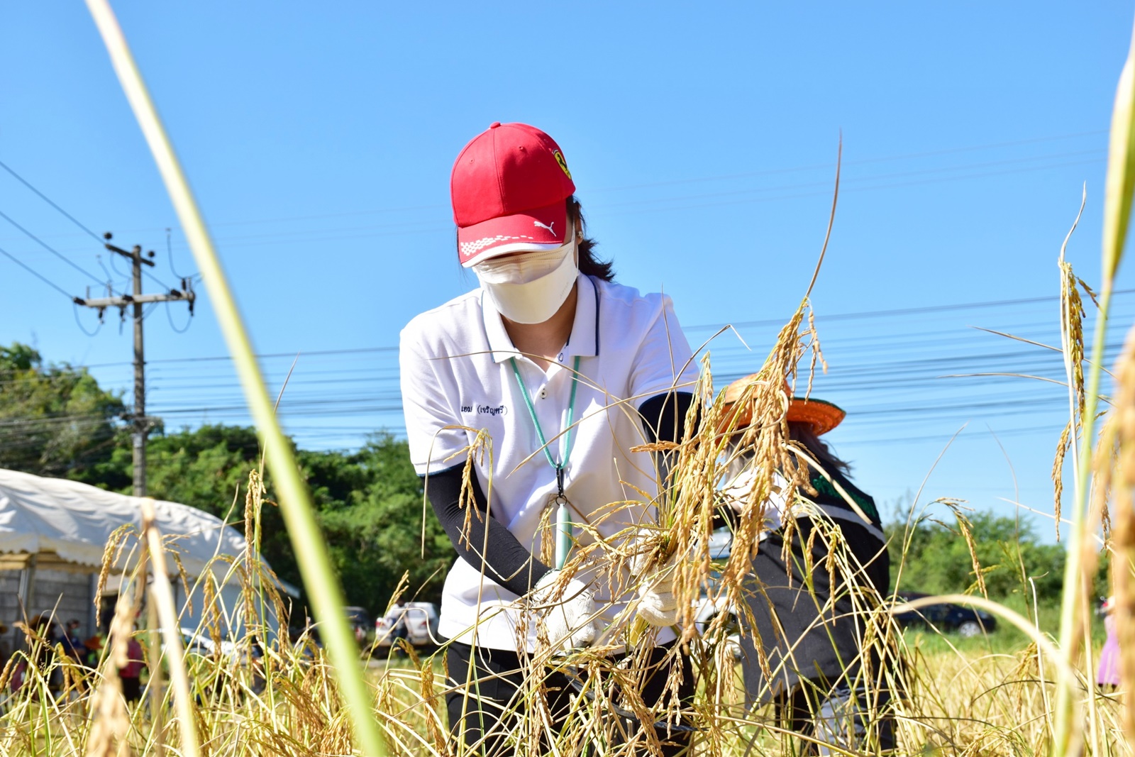 LINE ALBUM 19112021 37