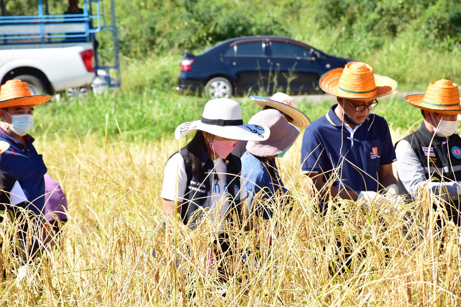 LINE ALBUM 19112021 42