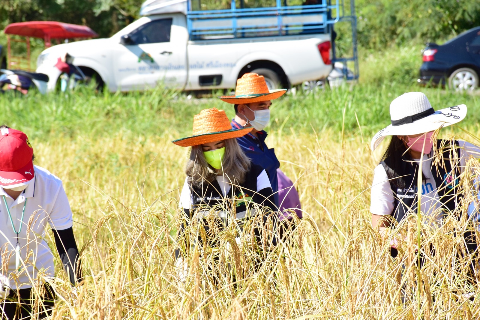 LINE ALBUM 19112021 43