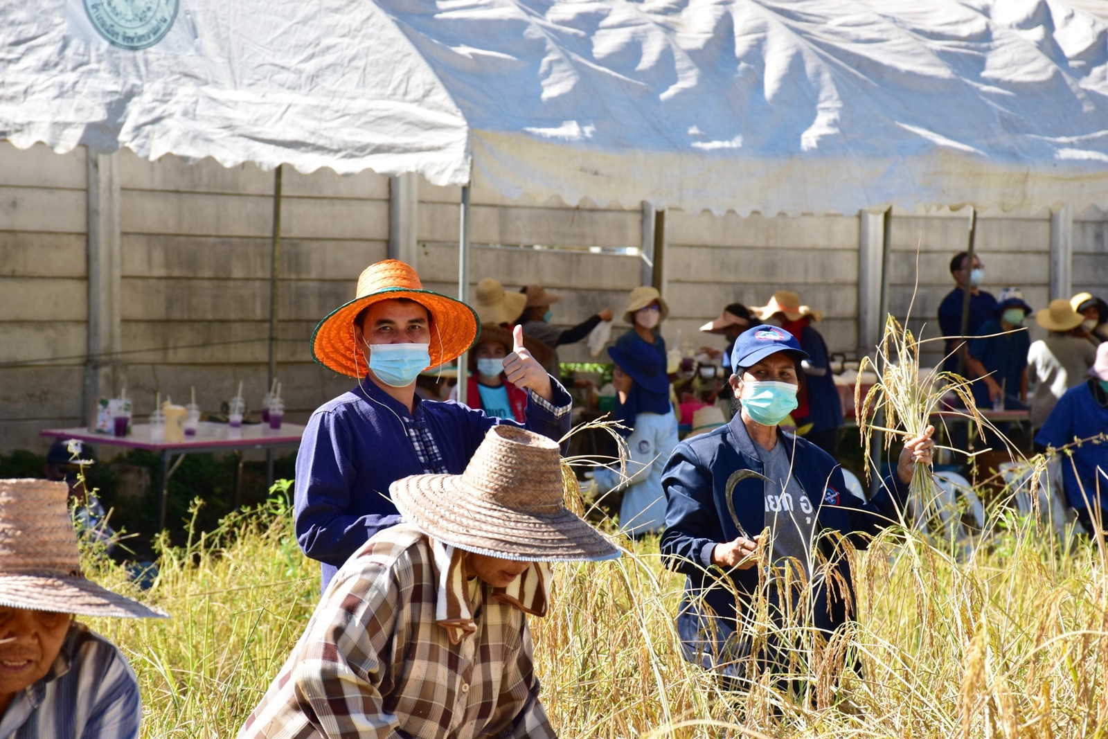 LINE ALBUM 19112021 46