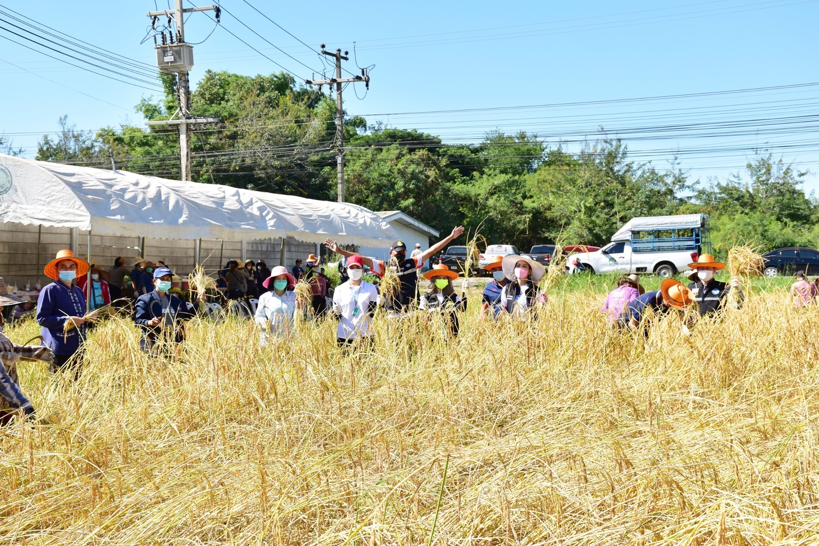 LINE ALBUM 19112021 50