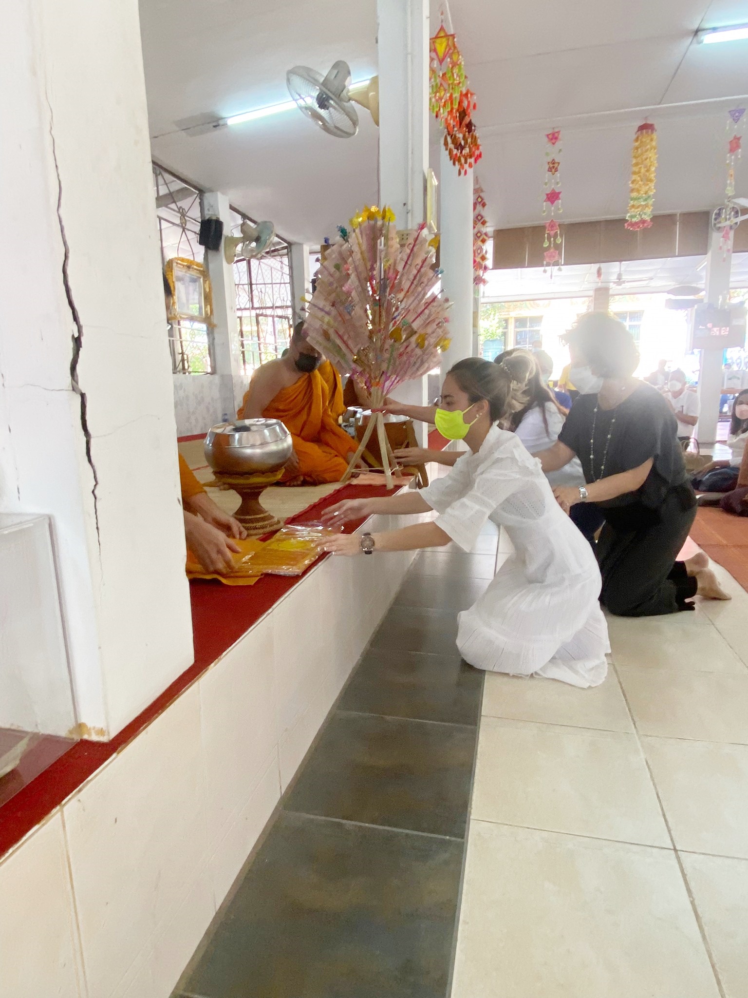 timeline 25641209 134226