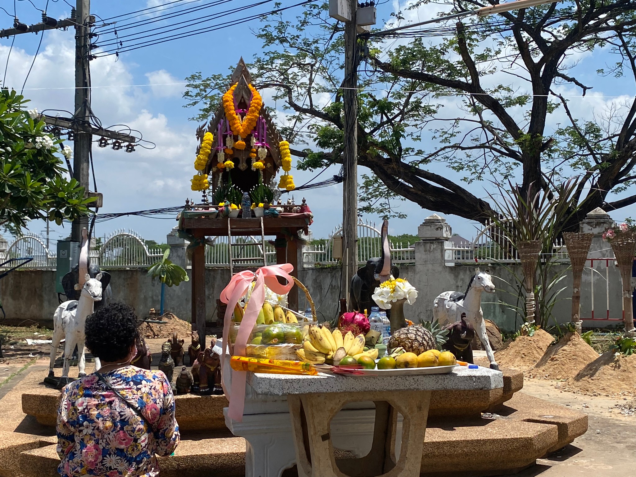 timeline 25650525 161644