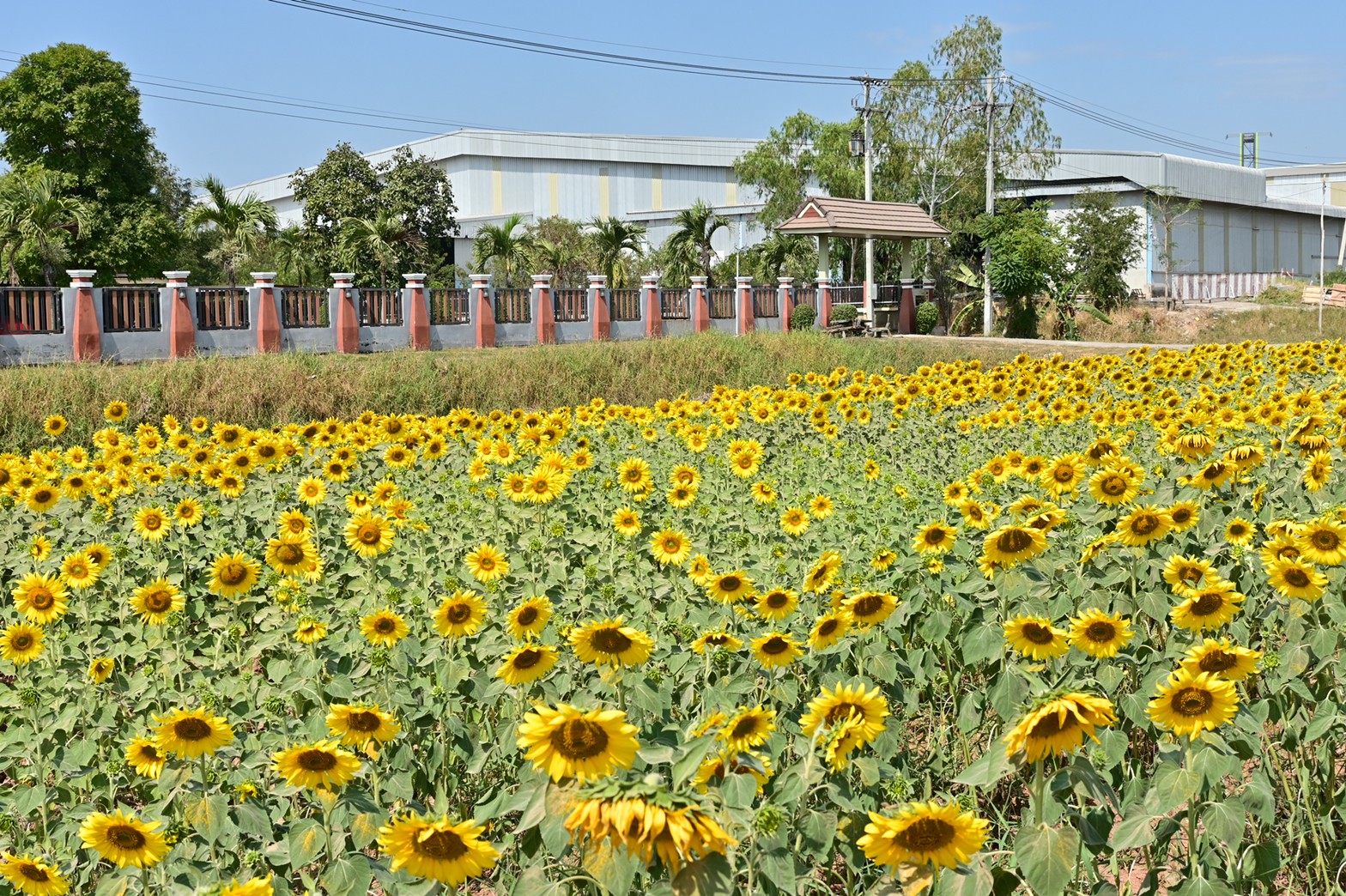 5F619B02 C8E7 4F21 B723 8936F81BBAA7 L0 001