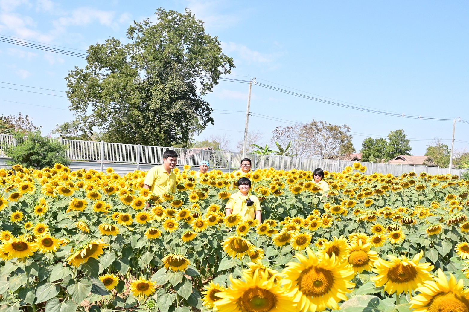 5F807E43 5FA7 4CC4 8E09 2DC63D503C1E L0 001