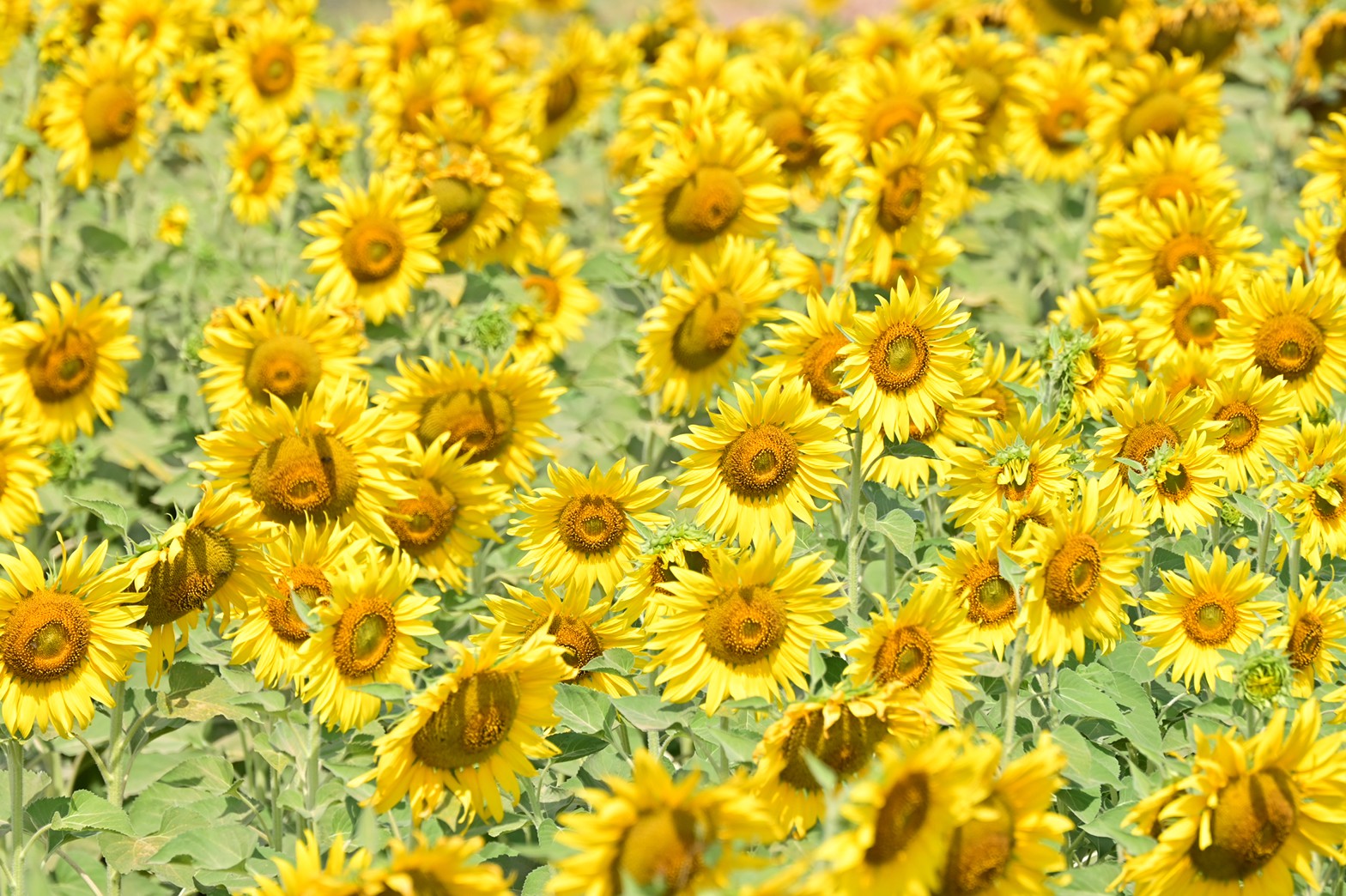 CF1211BB 1040 40DC 8CB6 43B6B3245114 L0 001